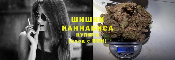 ГАЛЛЮЦИНОГЕННЫЕ ГРИБЫ Алзамай