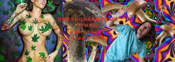 прущие крисы Алексеевка