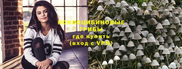 прущие крисы Алексеевка