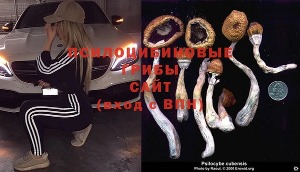 ГАЛЛЮЦИНОГЕННЫЕ ГРИБЫ Алзамай