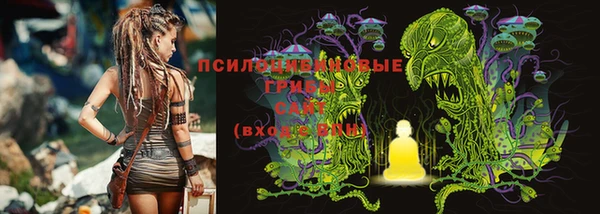 прущие крисы Алексеевка
