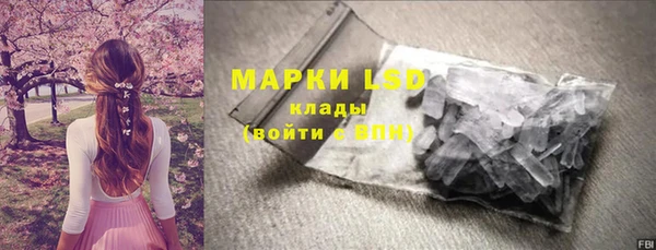 ГАЛЛЮЦИНОГЕННЫЕ ГРИБЫ Алзамай