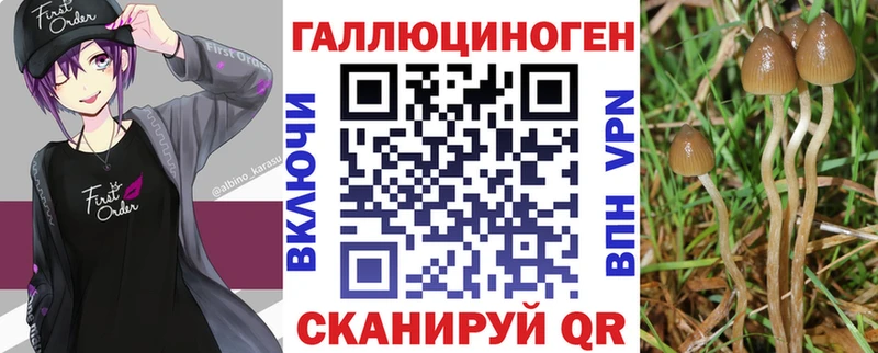 Псилоцибиновые грибы Cubensis  Щёлково 