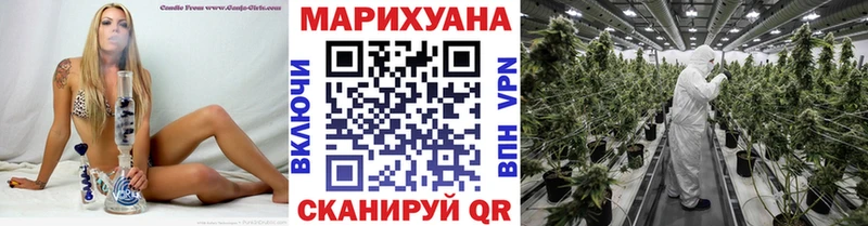 Шишки марихуана индика  Щёлково 